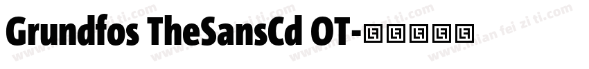 Grundfos TheSansCd OT字体转换